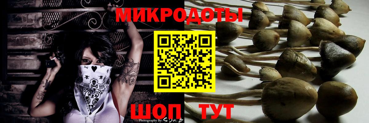 Галлюциногенные грибы прущие грибы  Галлюциногенные грибы Magic Shrooms  Вход с VPN  Гурьевск 