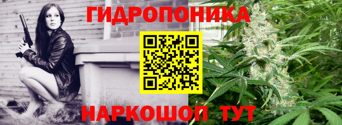 Конопля конопля Гурьевск